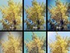 画质和功能都更好一点，Mate S功能性体验