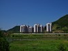 宾得K-70...适马17-70mm