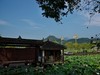 宾得K-70...适马17-70mm
