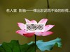 #名人堂积分争霸赛第三战#影驰HOF——一棵出淤泥而不染的粉荷