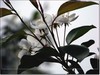 春花秋赏（三）