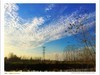 【手机摄影】田园风光