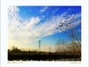 【手机摄影】田园风光