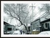 GRii：润雪笼京城