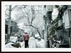 GRii：润雪笼京城
