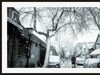 GRii：润雪笼京城