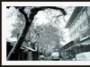 GRii：润雪笼京城