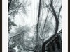 GRii：润雪笼京城