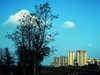 《冬日暖阳》（三）