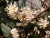 SE   二月花  随拍