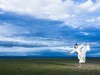 草原女侠 请指教