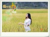 爱在深秋八月天