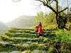 春色（发一组人像随拍）