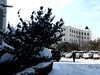 雪后初晴，2018年的第二场雪。
