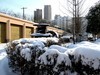 雪后初晴，2018年的第二场雪。