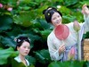 荷花美女
