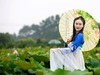 荷花美女