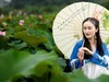 荷花美女