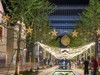 昆明1903公园 · 看望独版！问好！