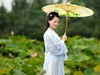 荷花美女