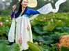 荷花美女