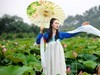 荷花美女