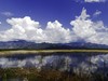 野鸭湖游拍