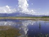 野鸭湖游拍