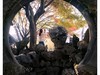 惠山秋色