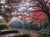 惠山秋色