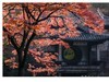 惠山秋色