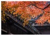 惠山秋色