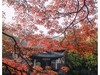 惠山秋色