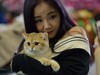 2015广州宠物节---猫猫