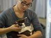 2015广州宠物节---猫猫