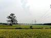 麦田     SE 随拍