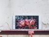 #长续航闪充利器OPPO R7s#无愧于“S”称号——OPPO R7s全面评测