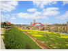 卡片转M3新手试机  四川广安城北河边油菜花