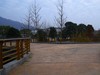 栖霞公园冬色