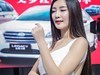 车   模
