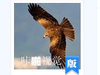 【活动通告】#ZOL月赛-四月物语#记录诗意的四月，赢取春的礼包
