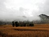 承德沿路风光’