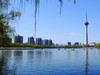 玉渊潭公园之春