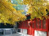 山深境幽，古树禅心！