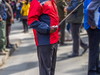 栖霞（南京）观叶