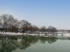 公园雪景
