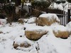 公园雪景