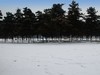 公园雪景