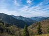 皖南阳产村画中行2015.11.27.