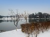 公园雪景